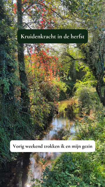 Kruidenkracht in de herst